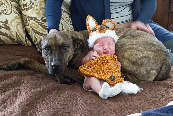 _MG_3042