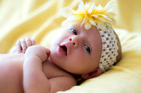Kathleen Grant Photography